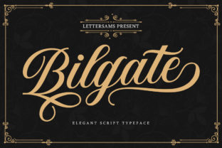 Bilgate Typeface Review: Elegant Handwritten Style