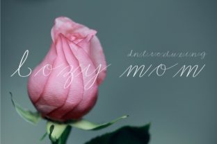 Cozy Mom: The Handwritten Font for Clear Campaigns