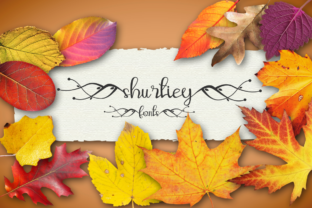 Shurtiey: A Handwritten Font for Brand Identity